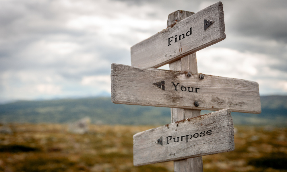 Third Pillar of Optimal Mental Wellness: Vision